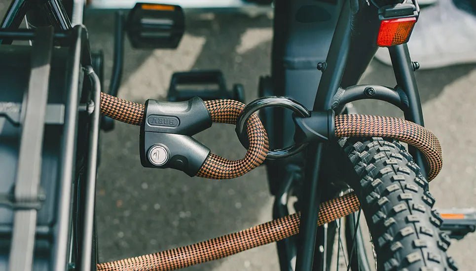 Abus Infinity Loop Lock 1806/110 | The Bike Affair