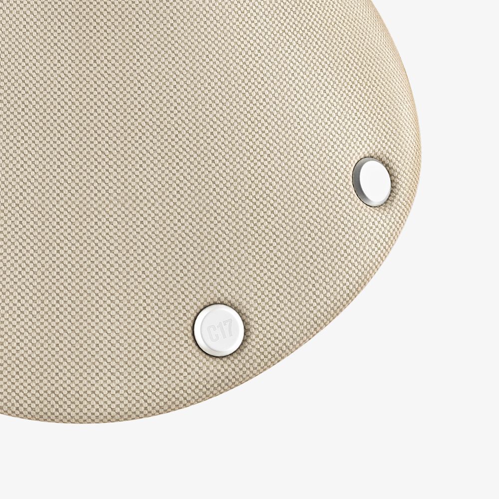 Brooks Cambium C17 Special Saddle | The Bike Affair