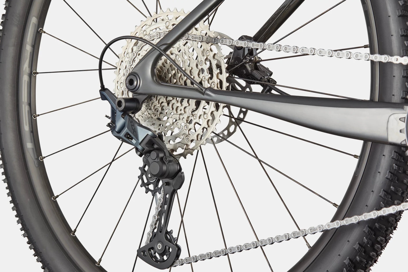 Cannondale Scalpel HT Carbon 2 Mountain Bicycle | The Bike Affair