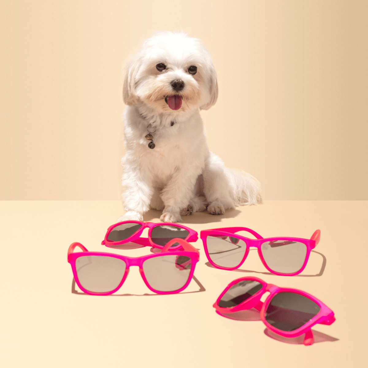 Craycol 'Pink Party' Sunglasses | The Bike Affair