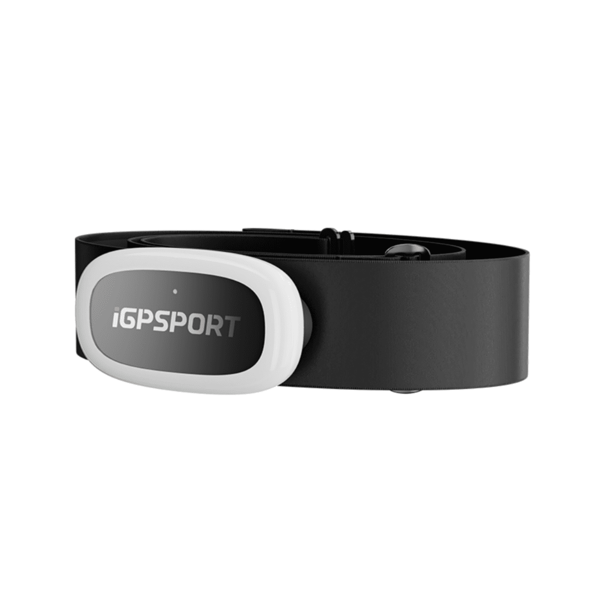IGPSport Heart Rate Monitor 50 Chest Strap | The Bike Affair