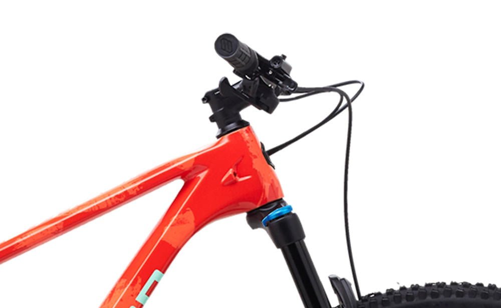 Polygon Syncline C5 29” XC Trail Bicycle | The Bike Affair