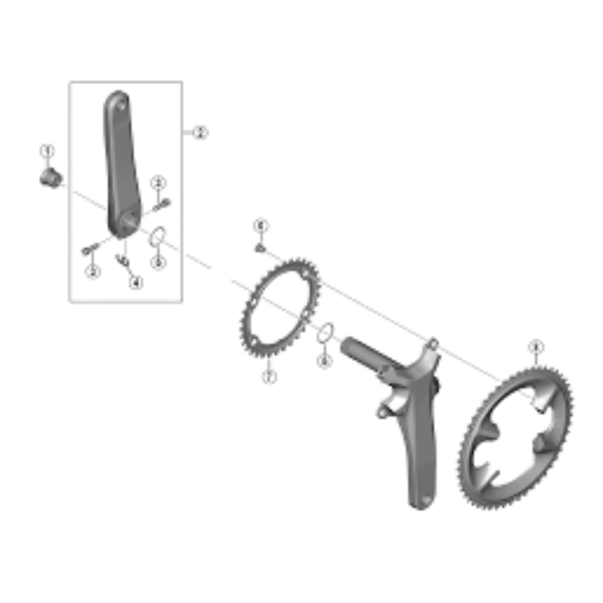 Shimano 105 FC - R7100 12 Speed Chainring | The Bike Affair