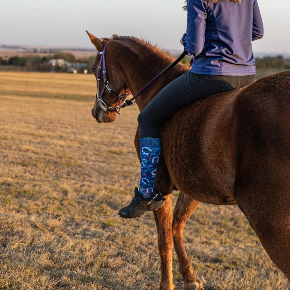 Sox Horseshoe Knee High Socks | The Bike Affair