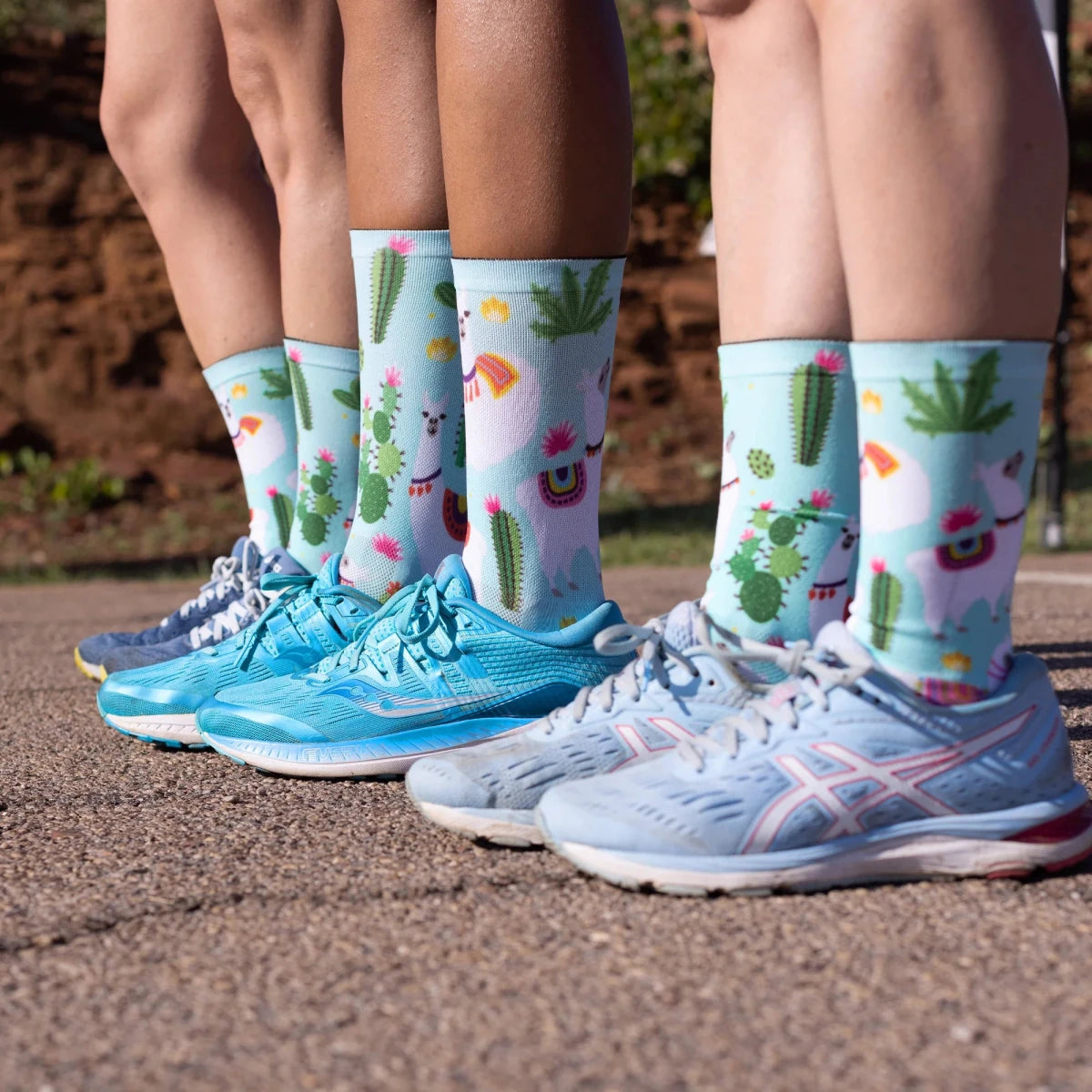 Sox Llama Casual Crew Socks | The Bike Affair