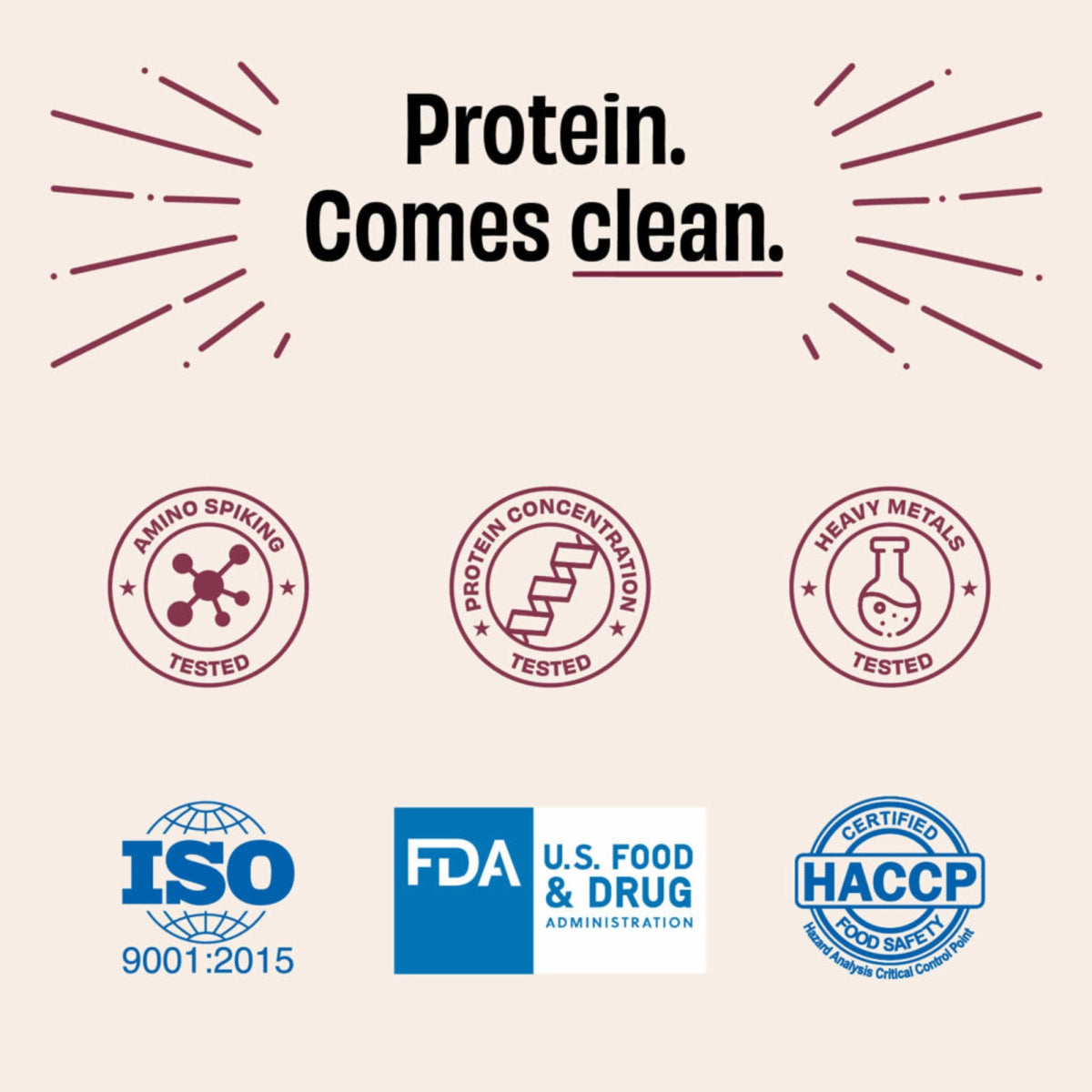 The Whole Truth 24g Protein Range - Pack of 1Kg | The Bike Affair