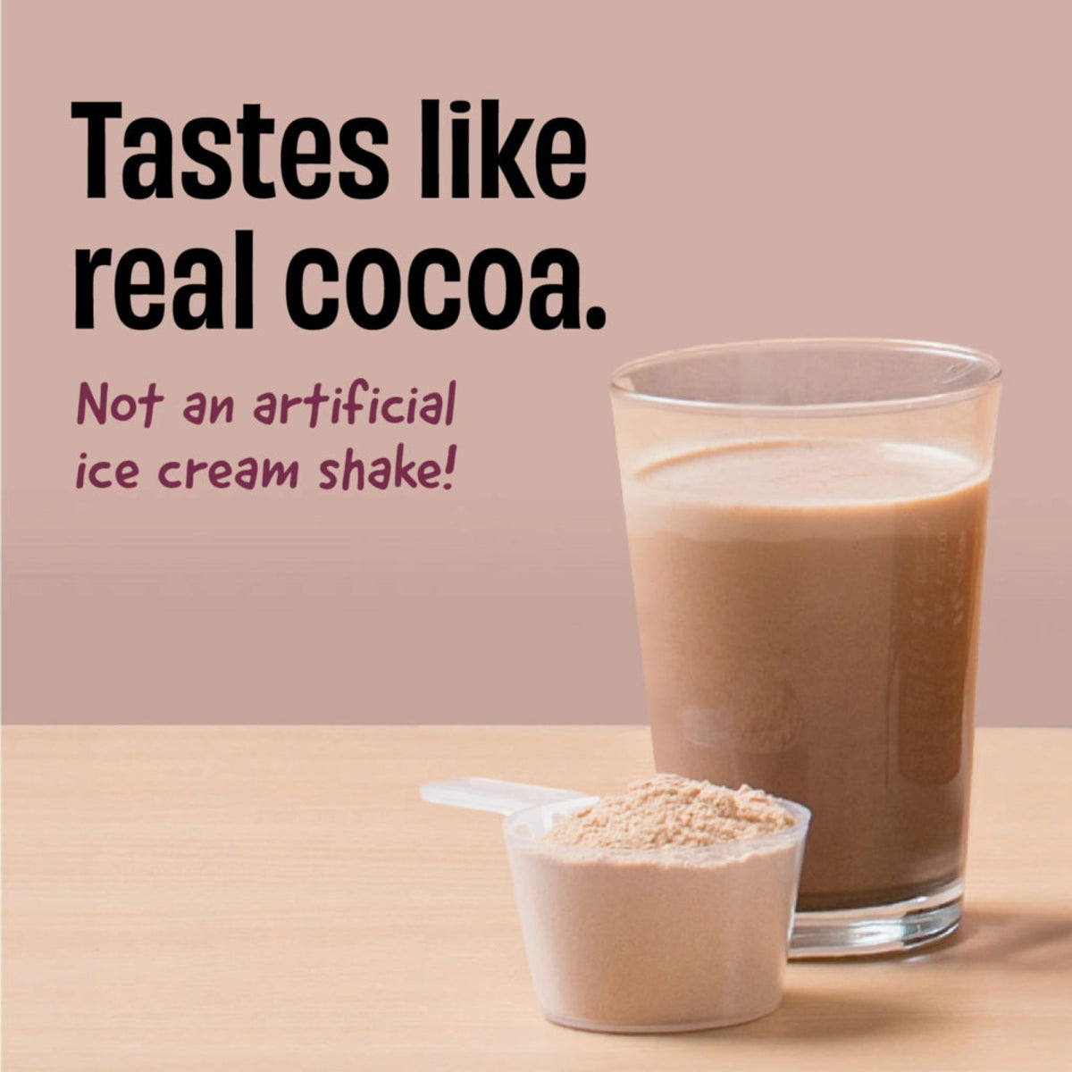 The Whole Truth 24g Protein Range - Pack of 1Kg | The Bike Affair