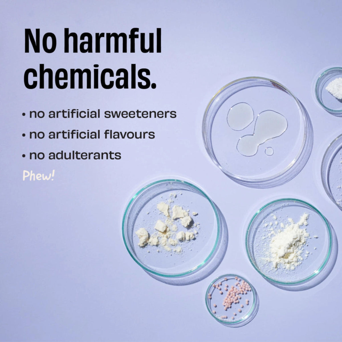 The Whole Truth 24g Protein Range - Pack of 1Kg | The Bike Affair