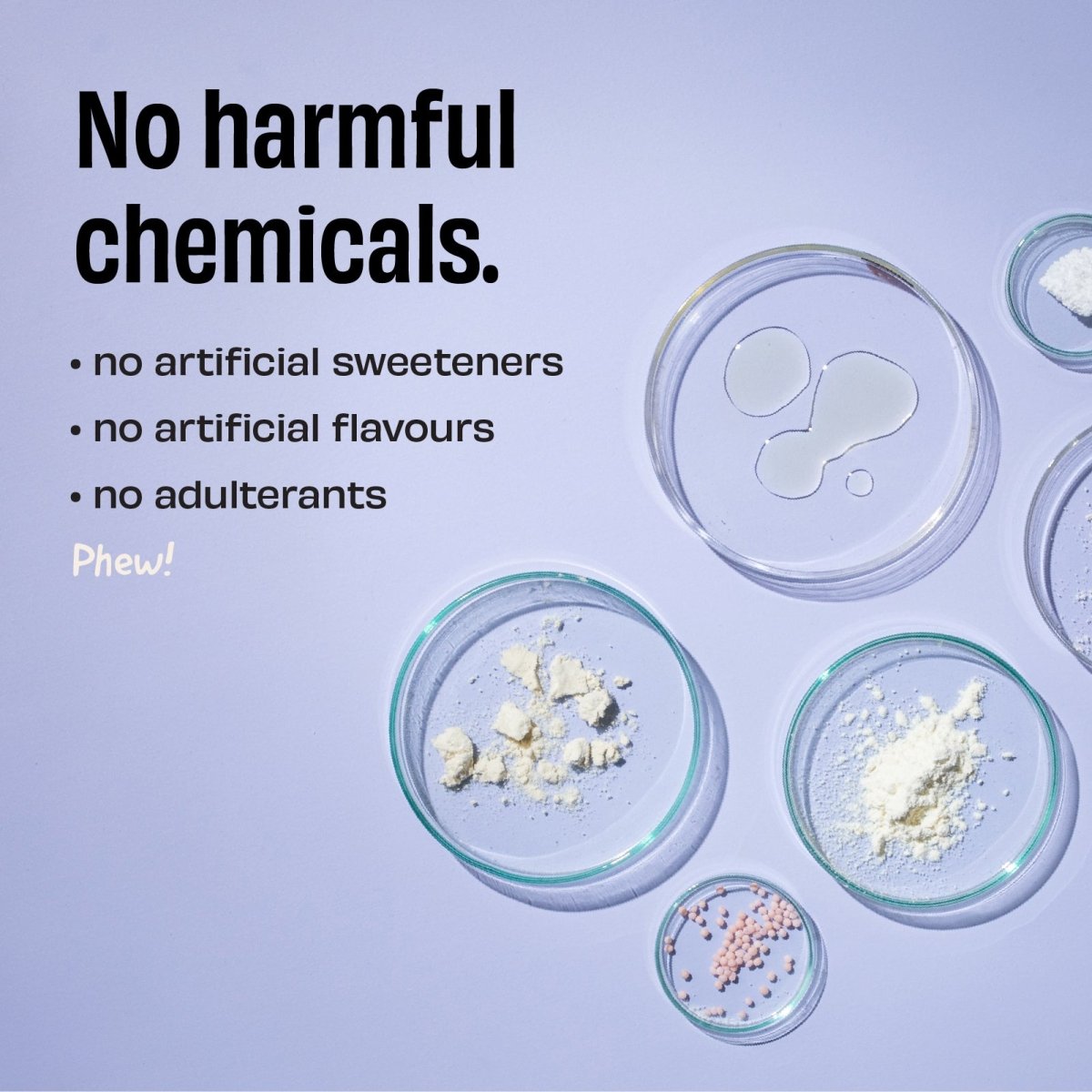 The Whole Truth 24g Protein Range | The Bike Affair