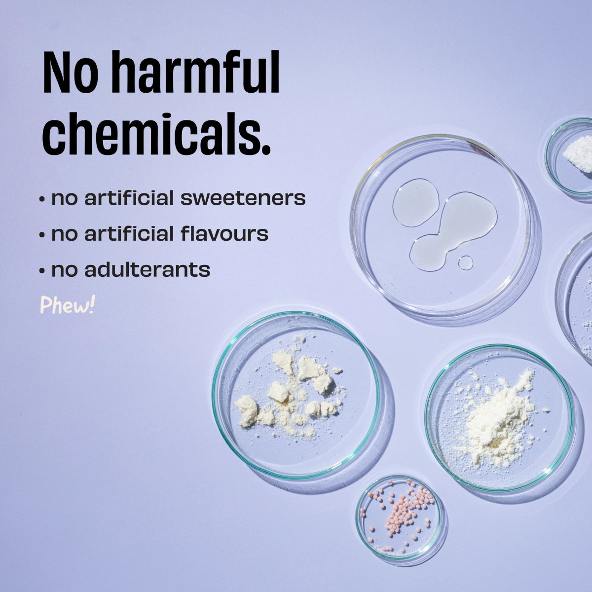 The Whole Truth 30g Unflavoured Whey Protein Isolate - Pack of 1Kg | The Bike Affair