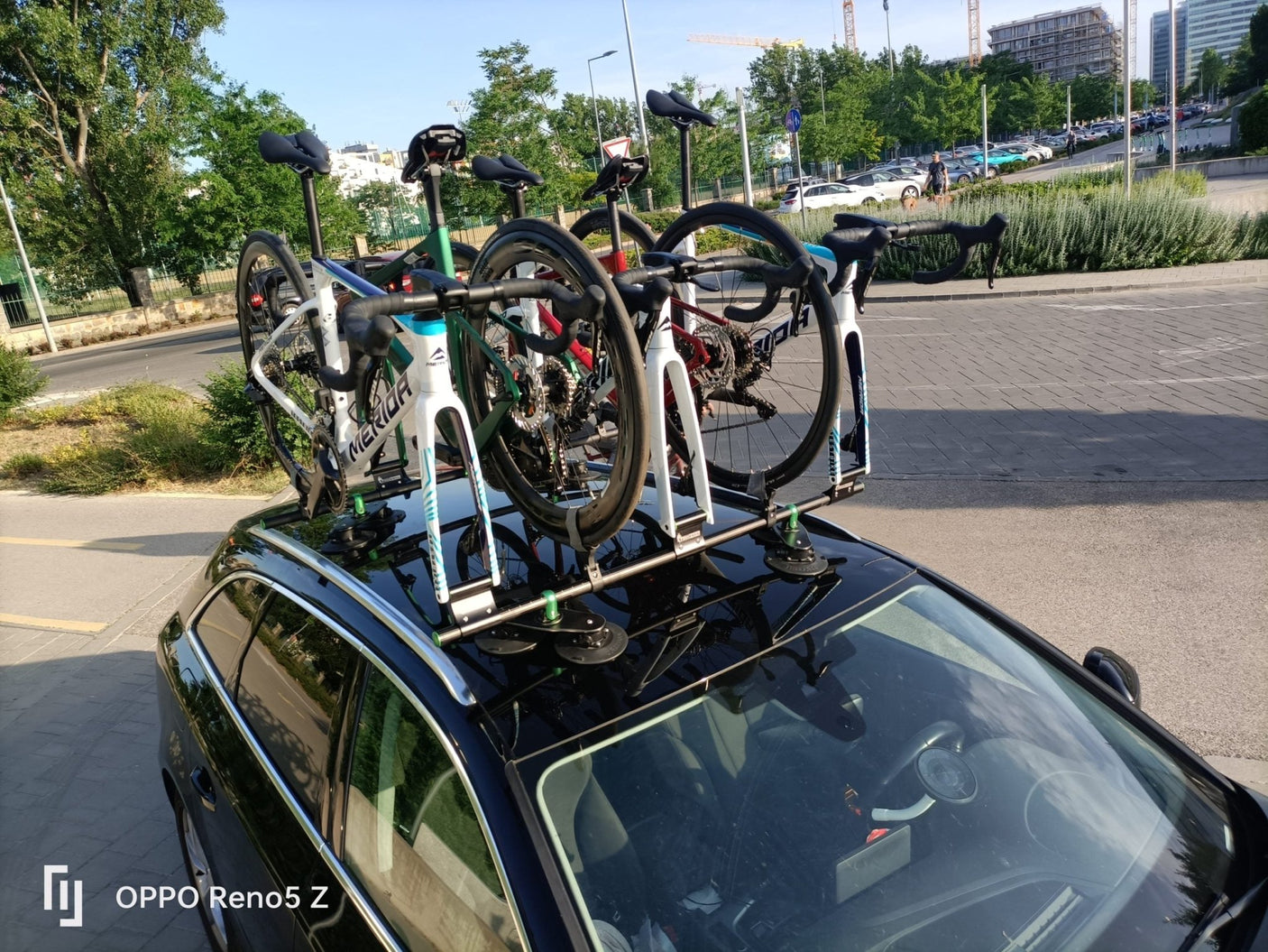 TreeFrog Roundbar Bike Rack For 5 Road/Gravel Bikes | The Bike Affair