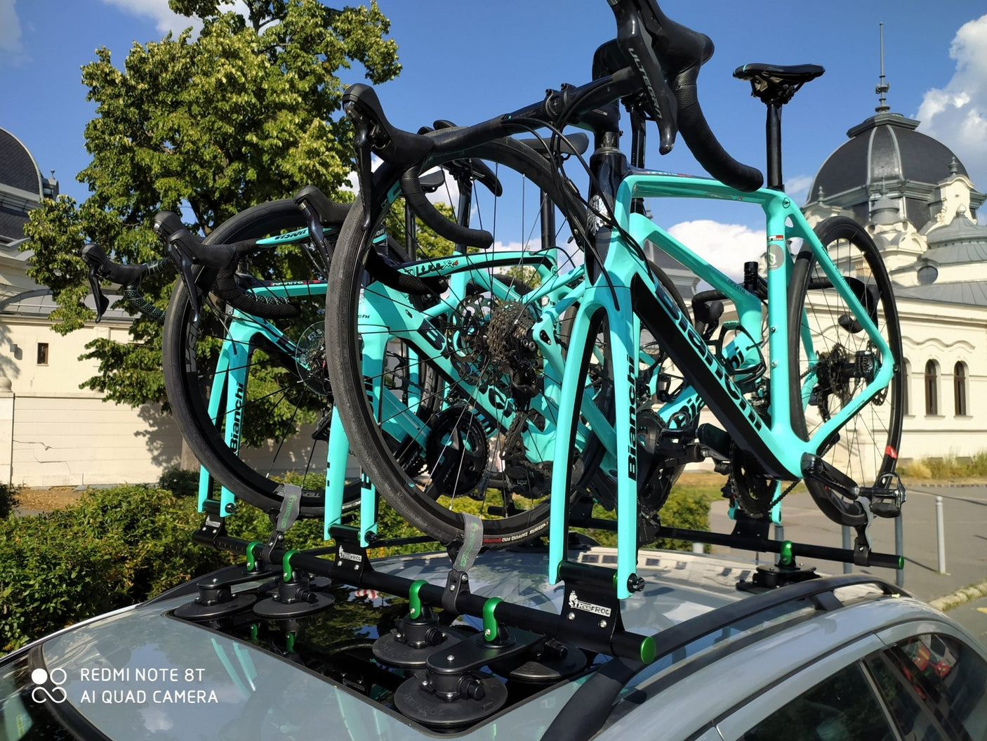 TreeFrog RoundBar Universal Fork Mount with Rear Wheel Holder | The Bike Affair