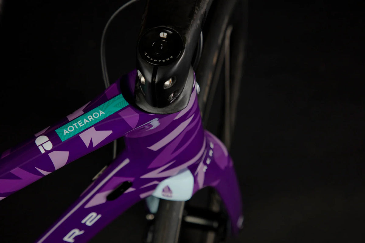 Chapter 2 RERE Aero Road Disc Brake Frameset | The Bike Affair