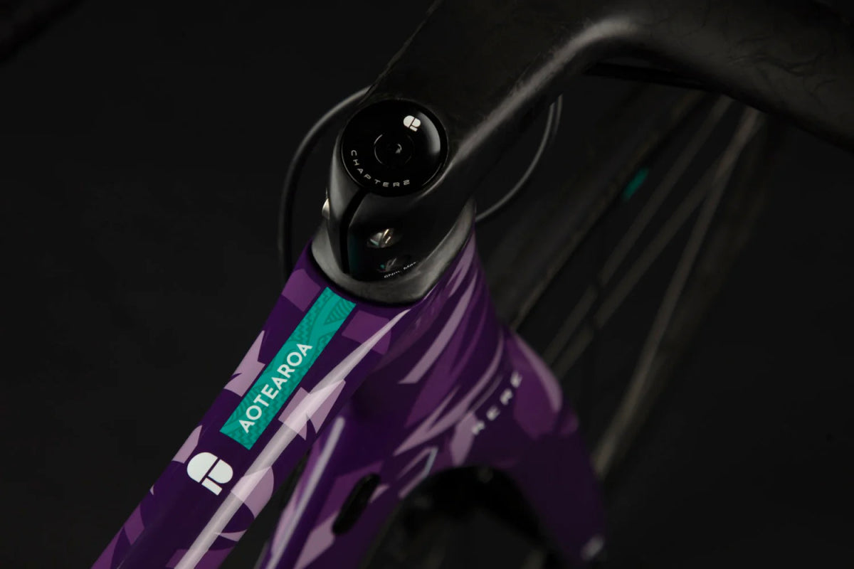 Chapter 2 RERE Aero Road Disc Brake Frameset | The Bike Affair