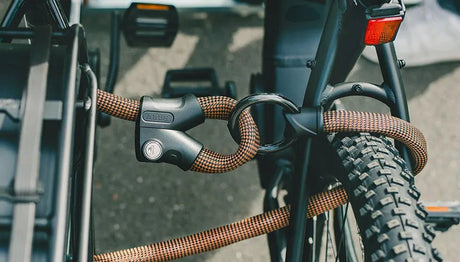 Abus Infinity Loop Lock 1806/110 | The Bike Affair