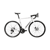 Basso Venta R 105 12S Fulcrum Racing 800 Road Bicycle | The Bike Affair