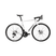 Basso Venta R 105 Di2 Fulcrum Racing 800 Road Bicycle | The Bike Affair