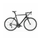 Basso Venta Rim 105 Bicycle | The Bike Affair