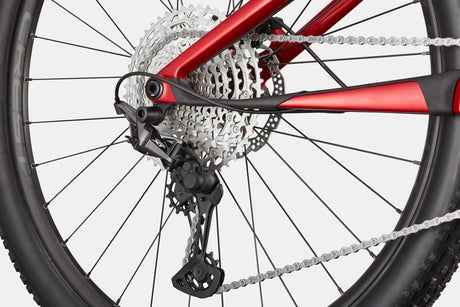 Cannondale Scalpel 4 Mountain Bicycle | The Bike Affair