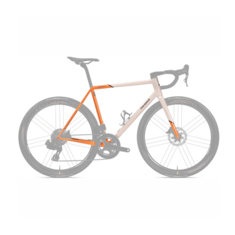 Colnago Steelnovo Frameset | The Bike Affair