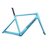 Colnago V4 Frameset | The Bike Affair