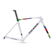 Colnago V5RS Frameset | The Bike Affair