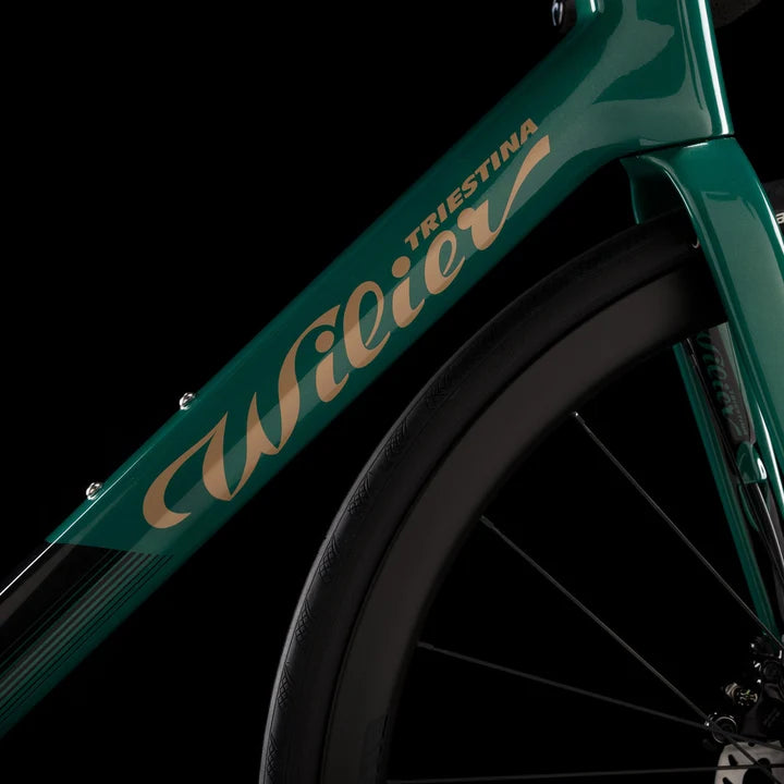 Wilier Garda Disc Brake Frameset