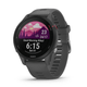 Garmin Forerunner 255 Basic Smartwatch | The Bike Affair