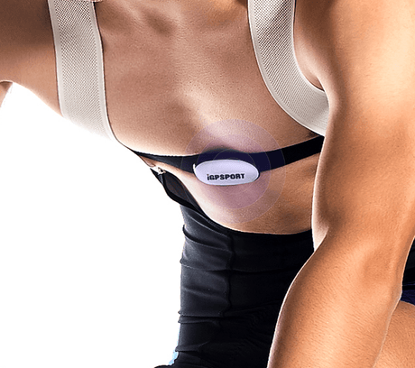 IGPSport Heart Rate Monitor Chest Strap | The Bike Affair