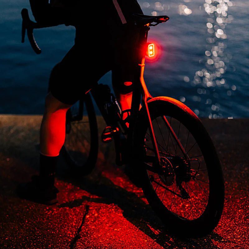 Magicshine Seemee 300 Tail Light | The Bike Affair