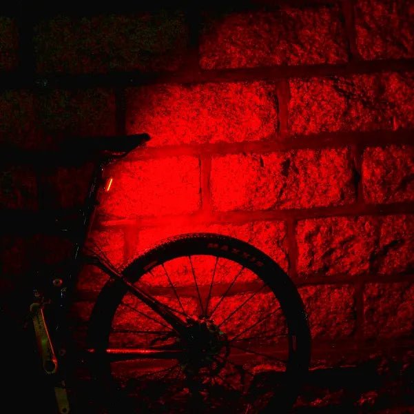 Magicshine Seemee 60 Tail Light | The Bike Affair