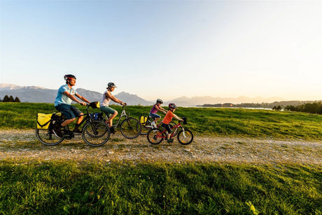 Ortlieb QL2.1 Classic Sport - Roller Pannier Bag - Pair | The Bike Affair