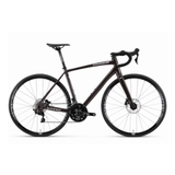 Pardus Super AL 105 12S PW-5 Aluminum Road Bicycle | The Bike Affair