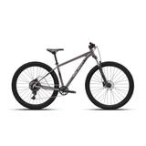 Polygon Cascade 4 29" Mountain Bicycle 2026 | The Bike Affair