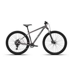 Polygon Cascade 4 29" Mountain Bicycle 2026 | The Bike Affair