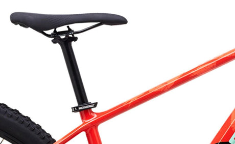 Polygon Syncline C5 29” XC Trail Bicycle | The Bike Affair