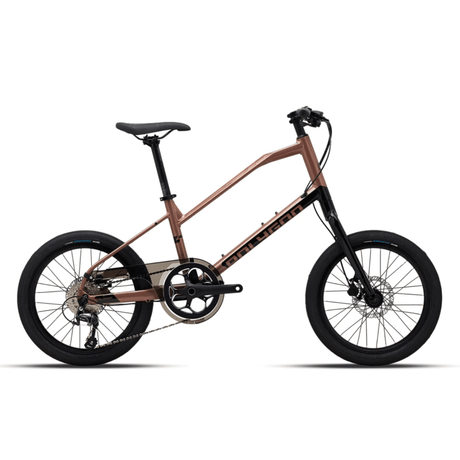 Polygon Zeta 2 Bicycle 2022 | The Bike Affair