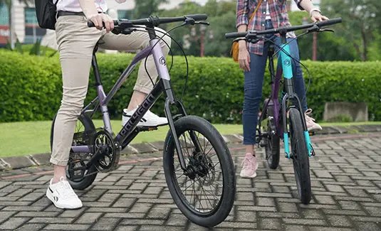 Polygon Zeta 2 Hybrid Bicycle | The Bike Affair
