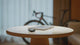 IGPSport BSC300T Ultra-Thin GPS Bike Computer