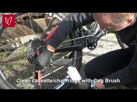 Effetto Mariposa Cog Brush-For Chain & Cogs