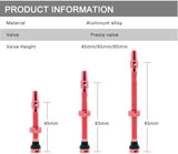 Ridenow Tubeless Valve Kit | The Bike Affair