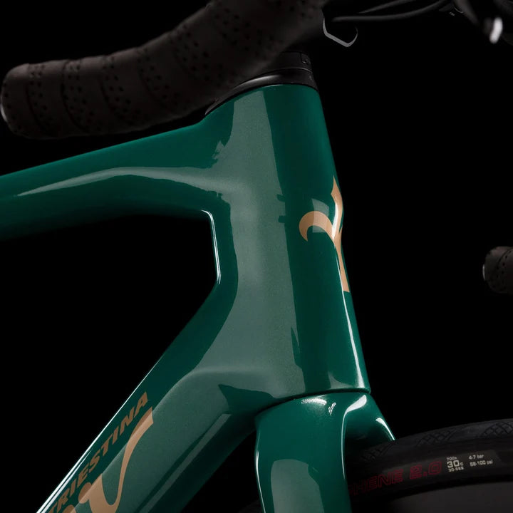 Wilier Garda Disc Brake Frameset
