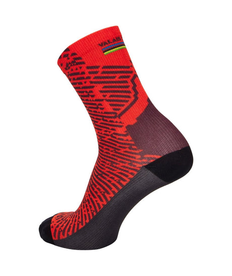 Santini UCI MTB World Champion Valais Socks | The Bike Affair