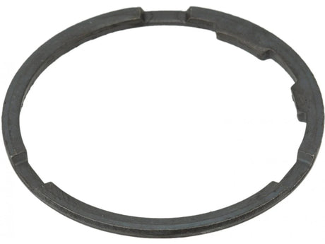 Shimano WH - RS171 - CL - 700C Clincher Center Lock Disc Brake Wheelset | The Bike Affair
