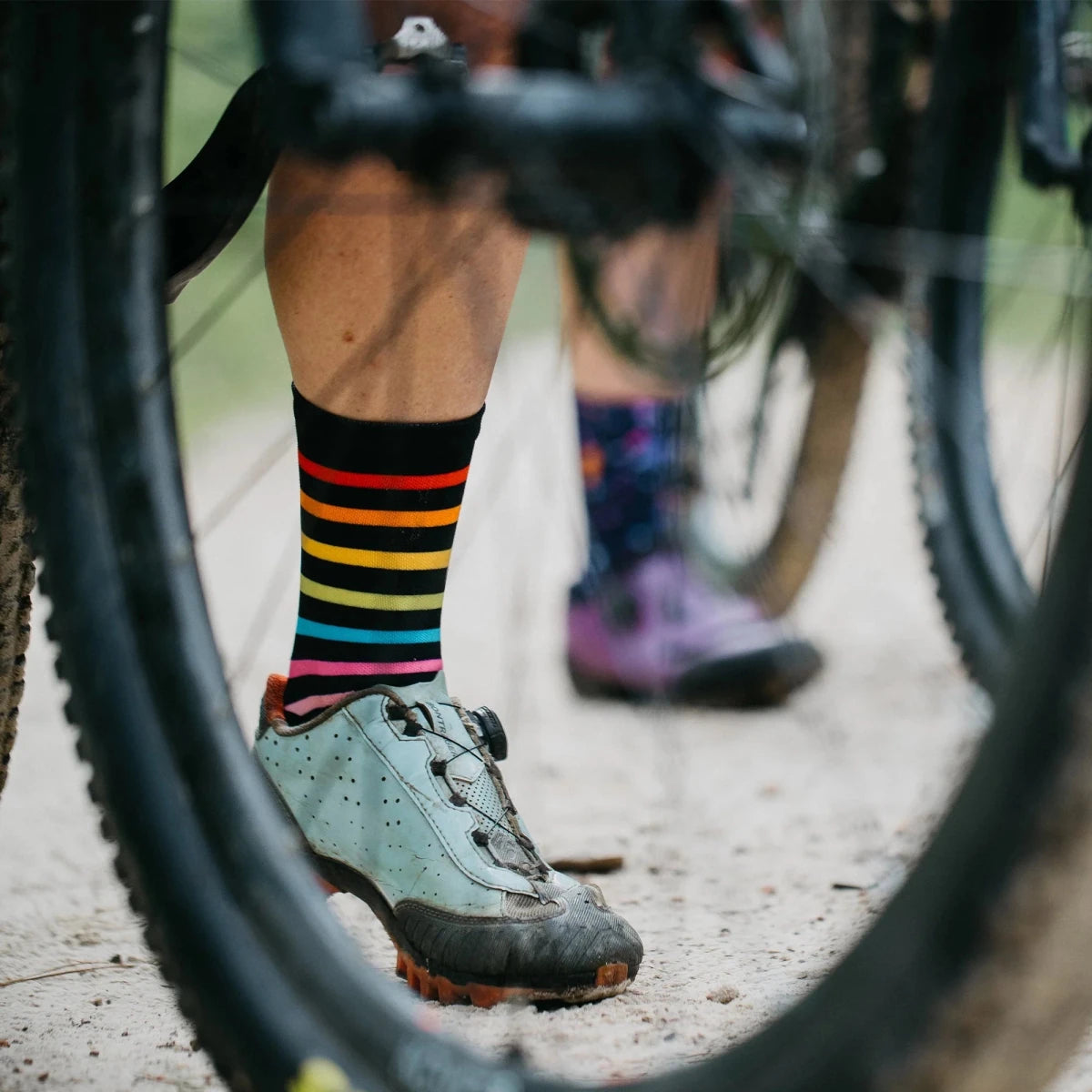 Sox Rainbow Casual Crew Socks | The Bike Affair