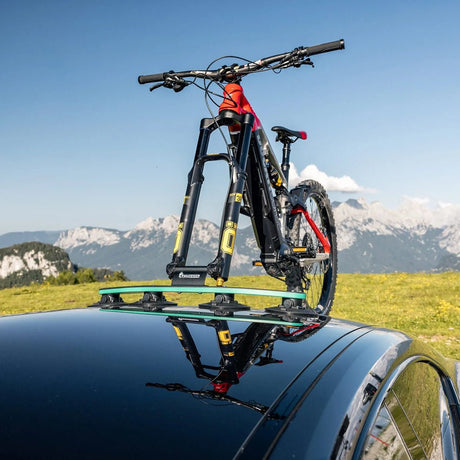 TreeFrog 15x110mm Thru Axle Fork Mount | The Bike Affair