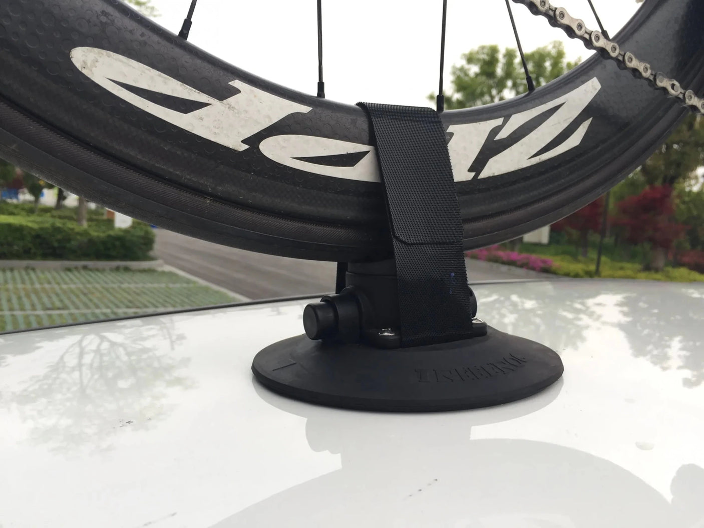 TreeFrog Elite Rear Wheel Holder | The Bike Affair