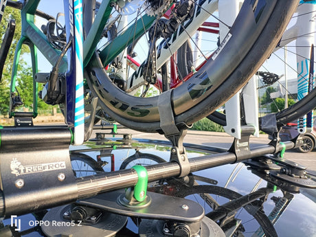 TreeFrog Roundbar Bike Rack For 5 Road/Gravel Bikes | The Bike Affair