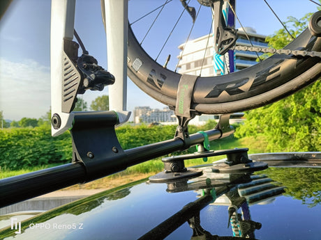 TreeFrog Roundbar Bike Rack For 5 Road/Gravel Bikes | The Bike Affair