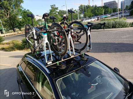 TreeFrog Roundbar Bike Rack For 5 Road/Gravel Bikes | The Bike Affair